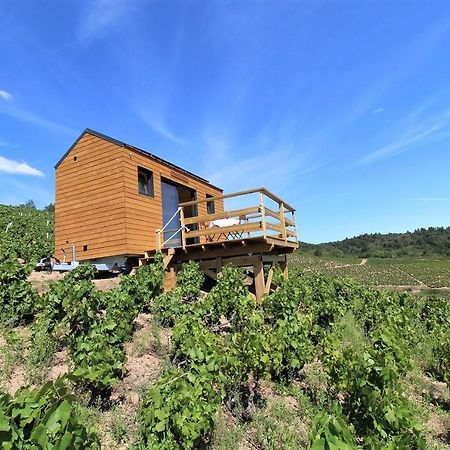 弗勒里 Tiny House Au Coeur Du Vignoble Beaujolais酒店 外观 照片
