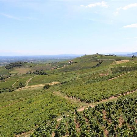 弗勒里 Tiny House Au Coeur Du Vignoble Beaujolais酒店 外观 照片