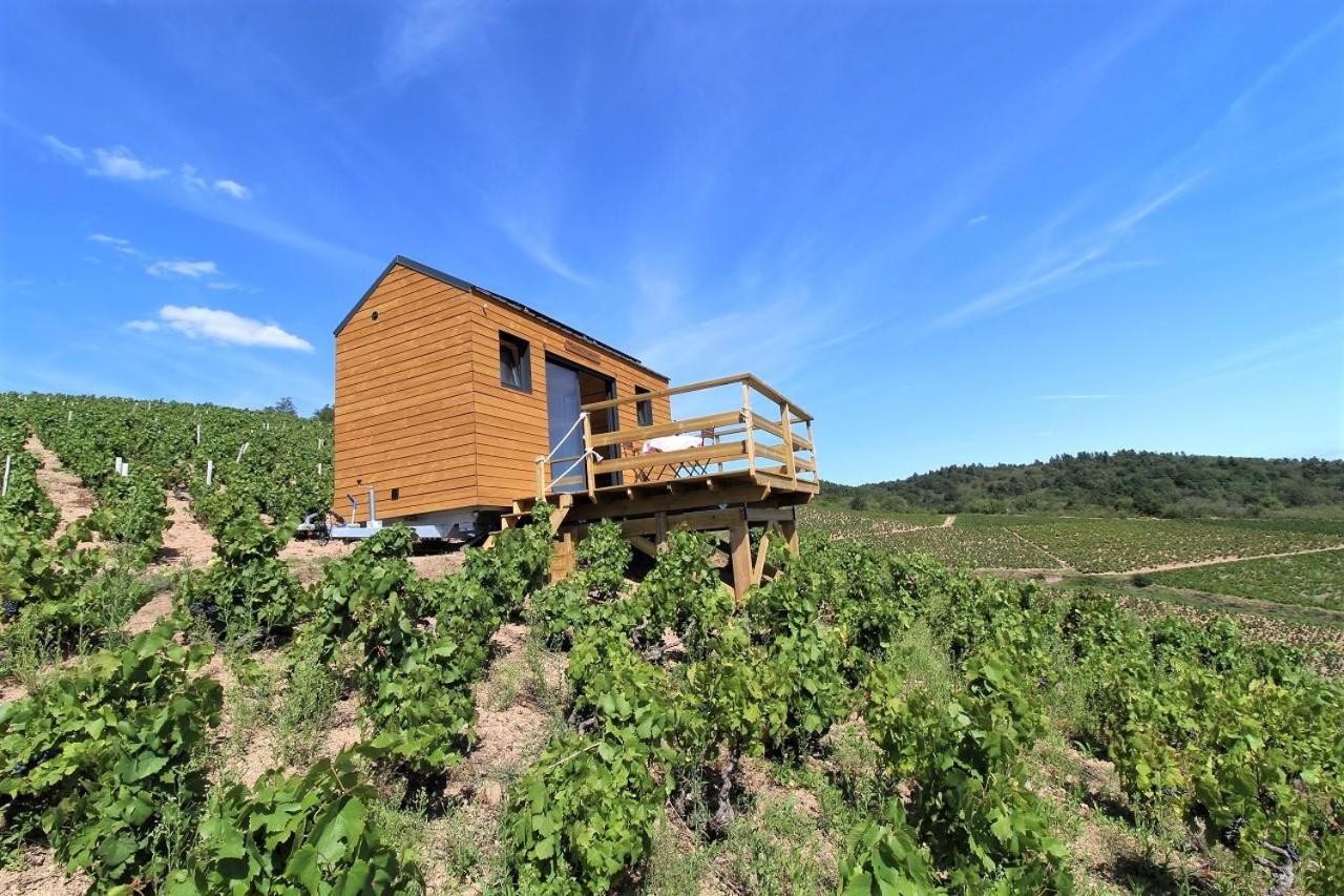 弗勒里 Tiny House Au Coeur Du Vignoble Beaujolais酒店 外观 照片