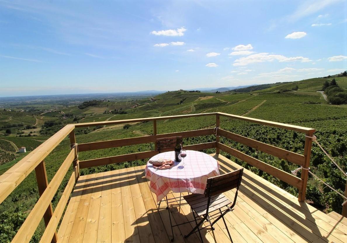 弗勒里 Tiny House Au Coeur Du Vignoble Beaujolais酒店 外观 照片