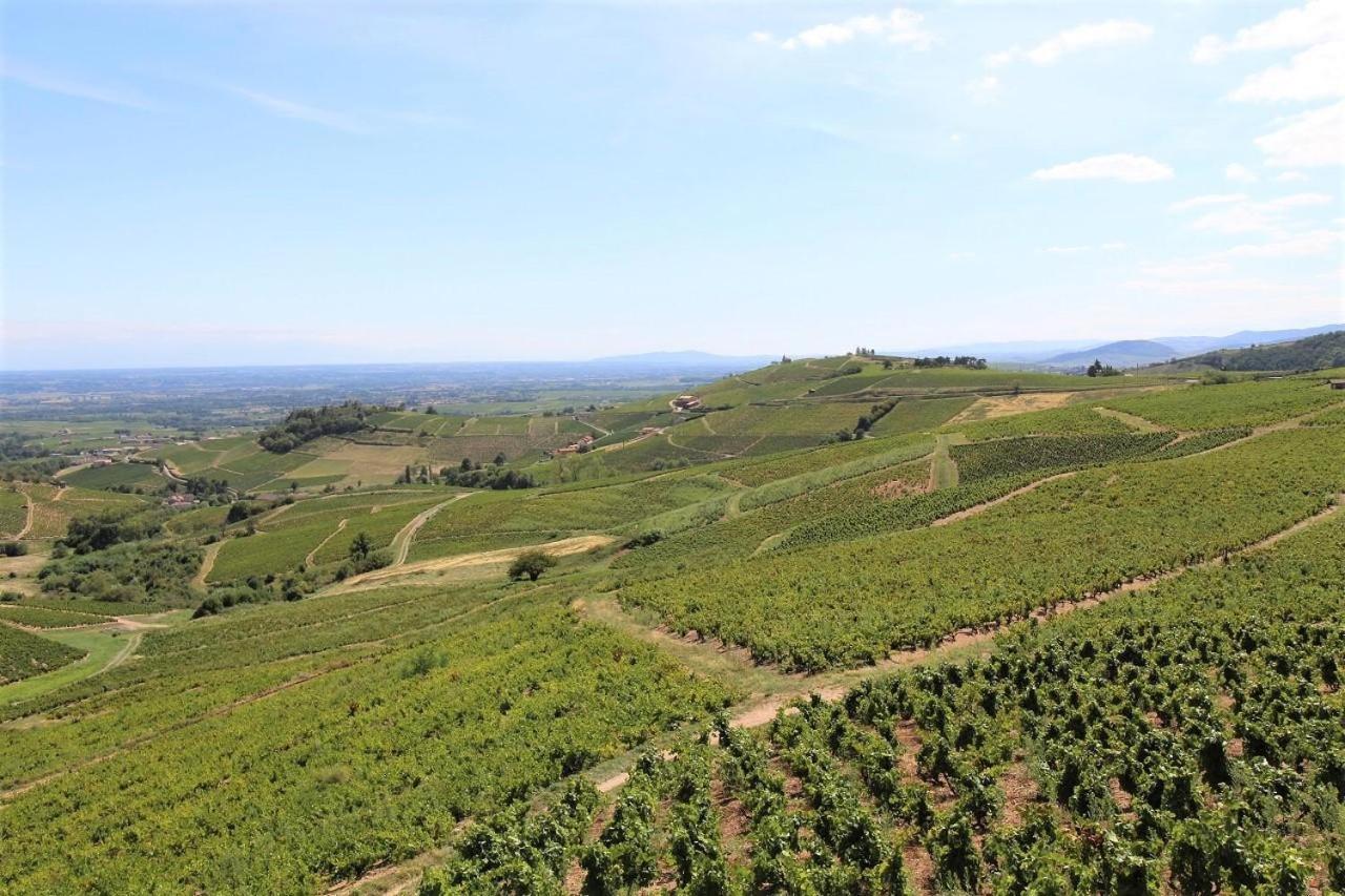 弗勒里 Tiny House Au Coeur Du Vignoble Beaujolais酒店 外观 照片